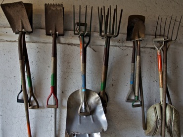 In the Toolshed In the Toolshed