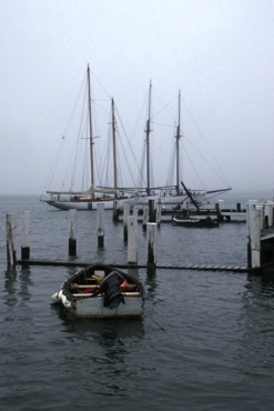 Misty Morning, Vineyard Haven Misty Morning, Vineyard Haven