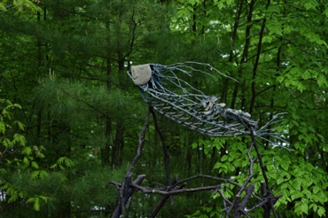 Acadian Gyro by Ed Shay, DeCordova Sculpture Park Acadian Gyro by Ed Shay, DeCordova Sculpture Park